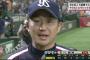 石川雅規(35) 25試合 146.2回 13勝*9敗 3.31