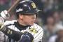 梅野隆太郎(28) .308 31本 80打点 5盗塁