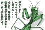 【虫苦手注意】カマキリ触れない奴ｗｗｗｗｗｗ