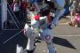コミケでガンダムバルバトス（コスプレ）がテレビの取材受けてる…