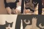 【画像】猫好きでもこのセーターは…