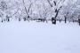 【画像あり】悲報ワイの家の中、雪だらけなるｗｗｗｗｗｗ