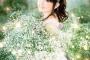 田村ゆかりさん、一斉終了について報告