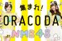 【NMB48】木下春奈、川上千尋がTORACODAY出演か？