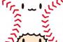 ヌルデータ管理人、たまベヱにマジレス