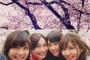 【芸能】桐谷美玲のお花見は美女だらけ、インスタ写真に「異次元過ぎる」と絶賛