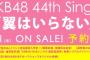 【速報】AKB48 44thシングルのタイトルは『翼はいらない』に決定！！【向井地美音センター曲】