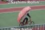 自転車に乗る日本の寿司（海外の反応）