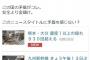 【秘書までアレｗ】民進党議員秘書「金儲けのために新幹線だけ安全対策もせず復活。諸悪の根源、アベガー！」