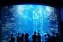 水族館「入場料2000円やけど年間パス4000円やで」