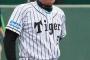 【悲報】金本監督が有能か無能か全くわからない