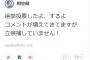 相笠萌「選挙投票したよ、コメントが増えてきてますが 立候補していません！」【2016年第8回AKB48選抜総選挙45thシングル】