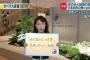 【画像】ＮＨＫにもの凄い美熟女記者がいる件ｗｗｗｗｗｗｗｗｗｗｗ