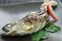 海外メディア：日本人に学ぶ魚の食べ方