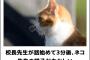 【悲報】キッズに見つかったbokete、もはや意味不明・・・・・