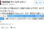 【ワロタｗ】「民進・共産はちょっと不安って思ってるでしょ？もし野党が大勝ちしても国家運営は自民党がするんだから安心して！」