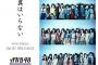 【AKB48】結局「翼はいらない」の翼ってなんだったの？