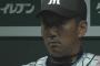 阪神・金本監督、１６１球８失点の藤浪に「最後まで投げさせるつもりだった」