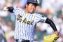大阪桐蔭、浦和学院、早稲田実業、興南、済美、日本文理のいない今年の甲子園