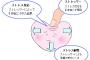 うちのｳﾄ、赤が泣いたら「いつも会ってないからだ」とか言ってくるけどいつもなんて無理だ。ストレスたまりまくってこっちが早ﾀﾋにするよ…orz