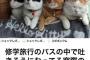 【画像】なんか地味に笑える画像wwww