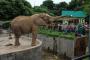 【炎上】「動物が雨ざらし！虐待だ！」東京新聞に投稿 → 動物園「取材確認もなしに嘘を書かれた・・・」 【井の頭自然文化園】