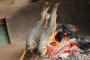 魚を生で食べるジャァァァァップwwwwwwwwwww