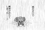 私より忙しい旦那が毎日家事を全部こなす。私も疲れてるからすぐ出来ないけど、申し訳ない気持ちになるから少しは残しておいてほしい