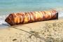 沖縄タイムス「海岸に謎の巨大鉄管。オスプレイ事故と関係が・・・」 → パヤオでした