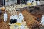 【韓国】鳥インフル感染農場10万羽分の鶏肉が出荷