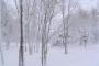 【速報】明日、関東で大雪ｗｗｗｗｗｗｗｗｗｗｗｗｗｗｗｗｗ