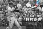 パワプロキッズワイ「ほーん捕手って打てるんやな」野球観戦ワイ「……」