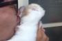 「これは・・・酷い」 執拗にキスをしまくる男性に猫もウンザリｗｗｗｗｗｗｗ