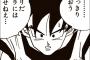 【ドラゴンボール】悟空「オラじゃブウは倒せねえ」・・・・・（画像あり）