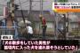 【悲しすぎる…】飼い犬助けようとした男性、電車にはねられ死亡　犬も死ぬ（画像あり）