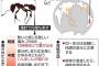 「ヒアリは海外では死亡例もあり危険！」←ウソでした