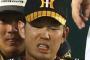 阪神・糸原、右膝内側側副靱帯損傷（ソースはサンスポ）