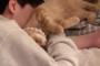 オーマイガー！こんなニャンコが欲しかった！ 寝ている飼い主さんに甘えながら眠りにつく猫