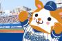 ＤｅＮＡベイスターズ ４７勝４０敗勝率．５４０ ←これｗｗｗｗｗｗｗｗｗ