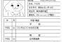 俺の職歴酷すぎワロタｗｗｗｗｗｗｗｗｗｗｗｗｗｗｗｗｗｗｗｗｗｗ
