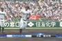 【悲報】甲子園のホームラン、去年の数にあと1本で並ぶ