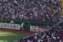【GIF】ペゲーロ、ホームランキャッチｗｗｗｗｗｗｗｗｗｗｗｗ