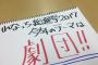 【AKB48】れなっちがだめなら、誰が総選挙したら納得する？【加藤玲奈】