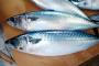 【衝撃】サバ缶を毎日食べ続けた結果ｗｗｗ凄すぎｗｗｗｗｗ（動画あり）