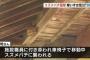 スズメバチに刺されて車椅子女性が死亡した事件、現場でとんでもないことが起きていた…