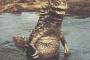 【画像】ワイがウルトラマンの怪獣を紹介する