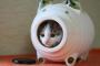 猫「落ちろ蚊トンボ」