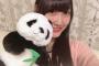 SKE48白井琴望さん、新しいパンダ仲間(シャンシャン)を早速圧縮・・・