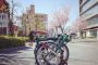 韓国人「家の近くで咲いていた日本の桜の写真をアップする」他