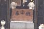 【画像】猫神社の狛猫